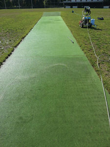 Cricket Pitch Cleaning