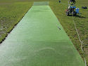 Cricket Pitch Cleaning